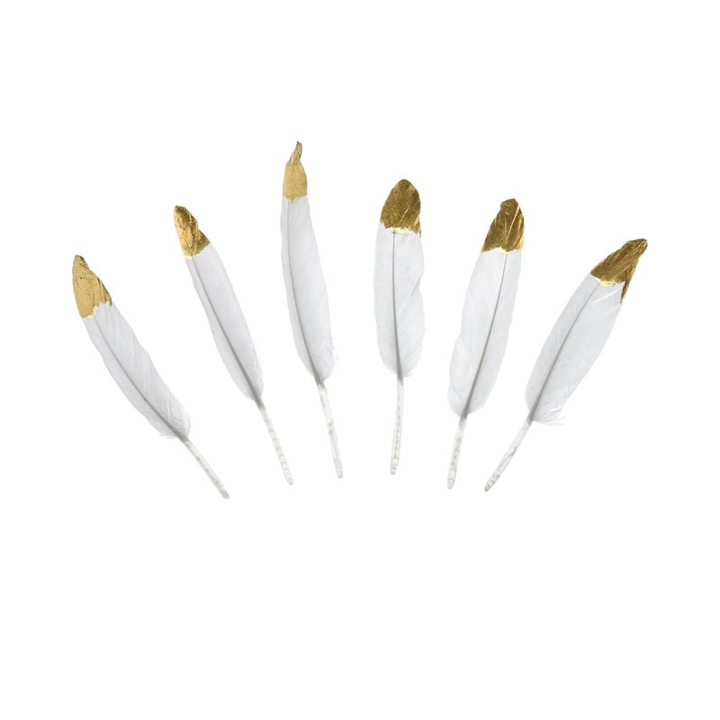 6 Plumes Blanches et Dorées