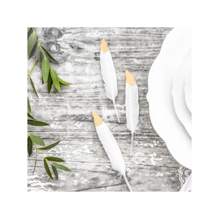 6 Plumes Blanches et Dorées 6 Plumes Blanches et Dorées