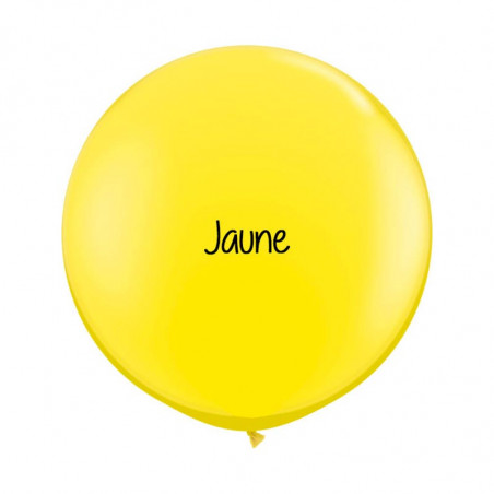 Kit A Vos Couleurs - Mur de Ballons Organiques - 35 couleurs au choix Kit A Vos Couleurs - Mur de Ballons Organiques - 35 couleurs au choix