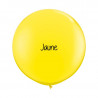 Kit A Vos Couleurs - Mur de Ballons Organiques - 35 couleurs au choix Kit A Vos Couleurs - Mur de Ballons Organiques - 35 couleurs au choix