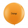 Kit A Vos Couleurs - Mur de Ballons Organiques - 35 couleurs au choix Kit A Vos Couleurs - Mur de Ballons Organiques - 35 couleurs au choix