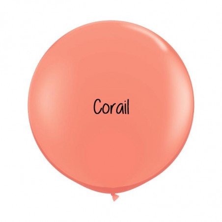 Kit A Vos Couleurs - Mur de Ballons Organiques - 35 couleurs au choix Kit A Vos Couleurs - Mur de Ballons Organiques - 35 couleurs au choix