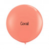 Kit A Vos Couleurs - Mur de Ballons Organiques - 35 couleurs au choix Kit A Vos Couleurs - Mur de Ballons Organiques - 35 couleurs au choix