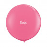 Kit A Vos Couleurs - Mur de Ballons Organiques - 35 couleurs au choix Kit A Vos Couleurs - Mur de Ballons Organiques - 35 couleurs au choix