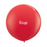 Kit A Vos Couleurs - Mur de Ballons Organiques - 35 couleurs au choix Kit A Vos Couleurs - Mur de Ballons Organiques - 35 couleurs au choix