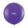 Kit A Vos Couleurs - Mur de Ballons Organiques - 35 couleurs au choix Kit A Vos Couleurs - Mur de Ballons Organiques - 35 couleurs au choix
