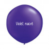 Kit A Vos Couleurs - Mur de Ballons Organiques - 35 couleurs au choix Kit A Vos Couleurs - Mur de Ballons Organiques - 35 couleurs au choix