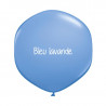 Kit A Vos Couleurs - Mur de Ballons Organiques - 35 couleurs au choix Kit A Vos Couleurs - Mur de Ballons Organiques - 35 couleurs au choix