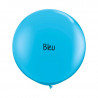 Kit A Vos Couleurs - Mur de Ballons Organiques - 35 couleurs au choix Kit A Vos Couleurs - Mur de Ballons Organiques - 35 couleurs au choix