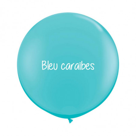 Kit A Vos Couleurs - Mur de Ballons Organiques - 35 couleurs au choix