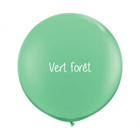Kit A Vos Couleurs - Mur de Ballons Organiques - 35 couleurs au choix Kit A Vos Couleurs - Mur de Ballons Organiques - 35 couleurs au choix