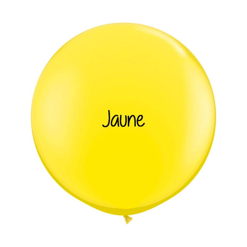 Kit A Vos Couleurs - Mur de Ballons Organiques - 50 couleurs au choix