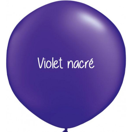 Kit A Vos Couleurs - Mur de Ballons Organiques - 50 couleurs au choix Kit A Vos Couleurs - Mur de Ballons Organiques - 50 couleurs au choix