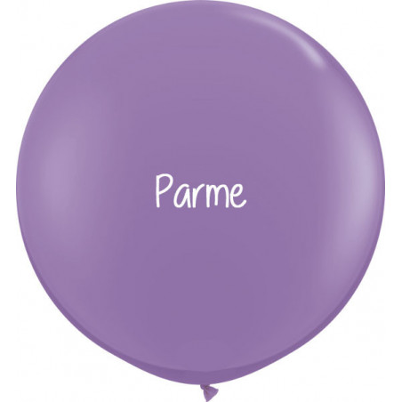 Kit A Vos Couleurs - Mur de Ballons Organiques - 50 couleurs au choix Kit A Vos Couleurs - Mur de Ballons Organiques - 50 couleurs au choix