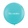 Kit A Vos Couleurs - Mur de Ballons Organiques - 50 couleurs au choix Kit A Vos Couleurs - Mur de Ballons Organiques - 50 couleurs au choix