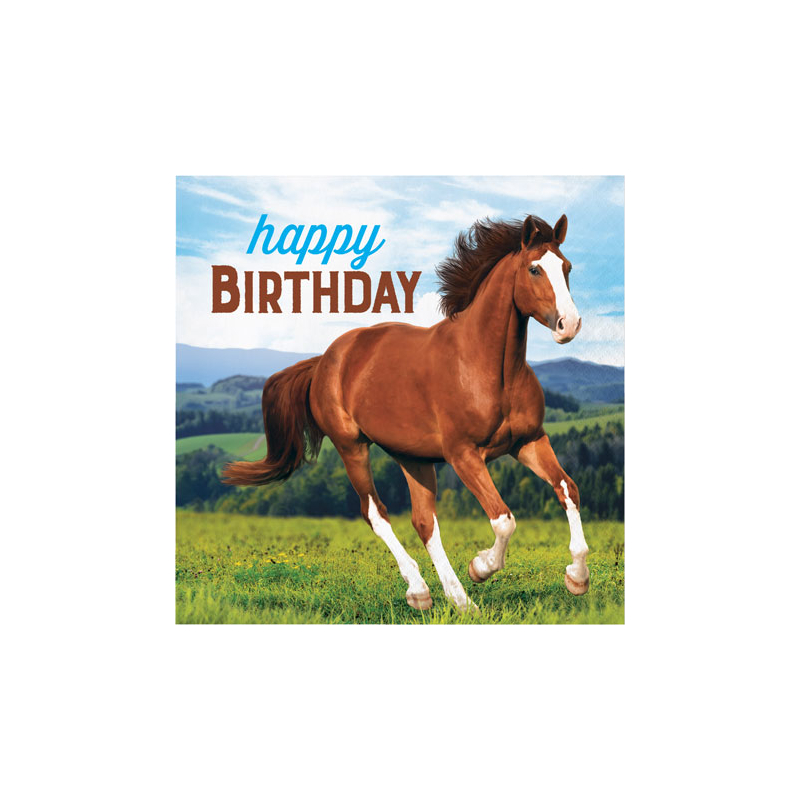 Grandes Serviettes Cheval Equitation Vaisselle Jetable Anniversaire Enfant Grandes Serviettes Cheval Equitation Vaisselle Jetable Anniversaire Enfant