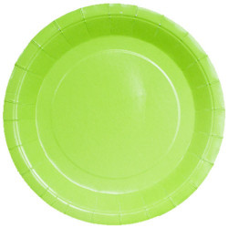 Grandes Assiettes en Carton...