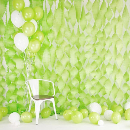 Guirlande Serpentin à Franges Vert Anis Papier Crépon Décoration de Fête