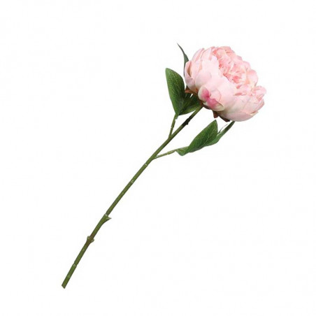 Assiettes Liberty Rose à Fleurs rose clair Assiettes Liberty Rose à Fleurs rose clair