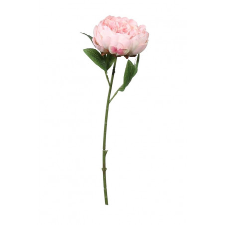 Assiettes Liberty Rose à Fleurs rose clair