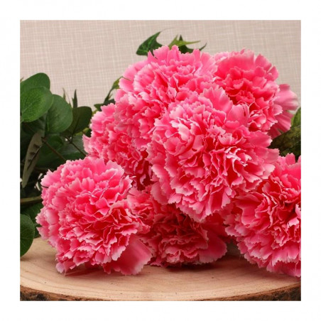 Oeillets Roses Fleurs Artificielles Premium