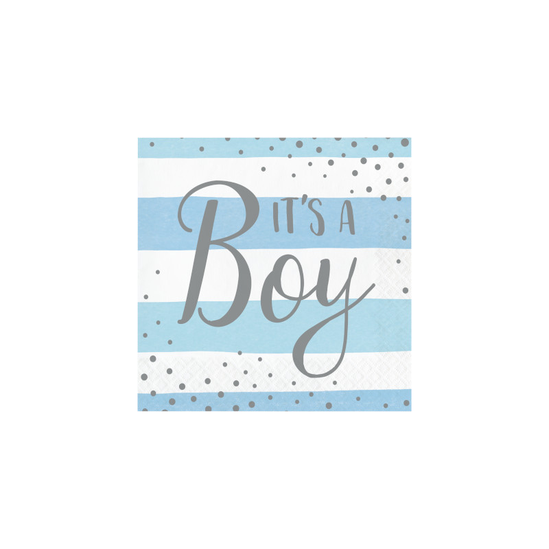 Grandes Assiettes Bleu Poudré & Argent - Anniversaire Party