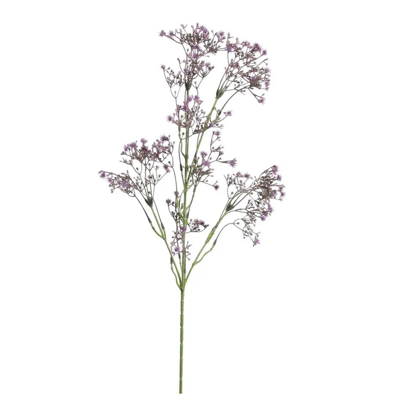 Grande branche de petites fleurs violettes type Allium