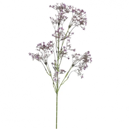 Branche de petites fleurs violettes Type Allium