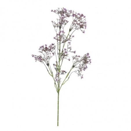 Branche de petites fleurs violettes Type Allium