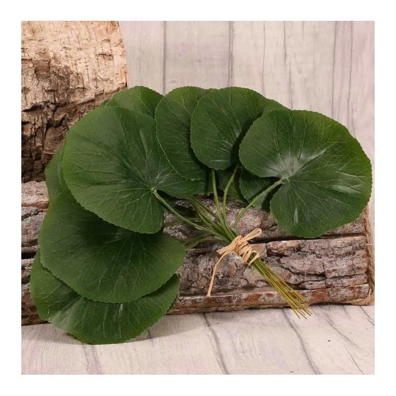 12 Feuilles Galax Artificielles - Fleurs intemporelles premium