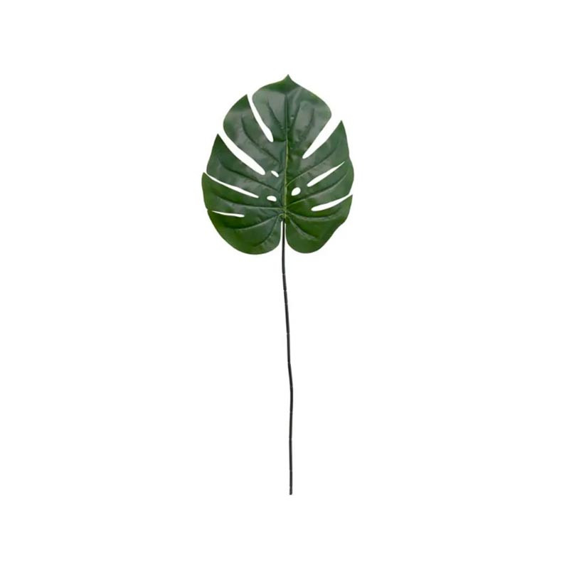 Grande Feuille Verte Tropicale Monstera