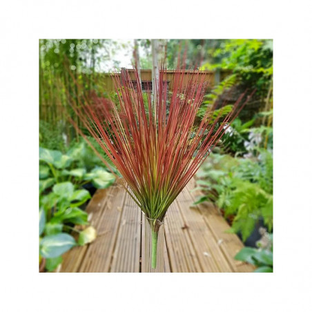 Bouquet de feuilles herbes vert / marron