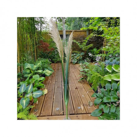 2 Pampas 86cm marron - Fleurs artificielles 2 Pampas 86cm marron - Fleurs artificielles