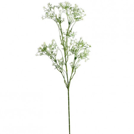Grande Branche de petites fleurs crème Type Allium