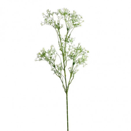 Grande Branche de petites fleurs crème Type Allium