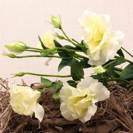 Bouquet de Lysianthus Crème