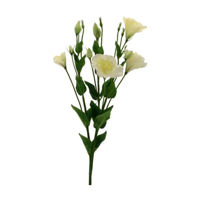 Bouquet de Lysianthus Crème