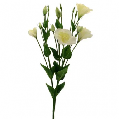 Bouquet de Lysianthus Crème