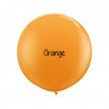 10 ballons organiques à vos couleurs - 60 couleurs au choix 10 ballons organiques à vos couleurs - 60 couleurs au choix