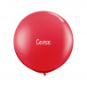 10 ballons organiques à vos couleurs - 60 couleurs au choix 10 ballons organiques à vos couleurs - 60 couleurs au choix