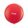 10 ballons organiques à vos couleurs - 60 couleurs au choix 10 ballons organiques à vos couleurs - 60 couleurs au choix