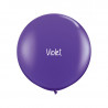 10 ballons organiques à vos couleurs - 60 couleurs au choix 10 ballons organiques à vos couleurs - 60 couleurs au choix