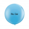 10 ballons organiques à vos couleurs - 60 couleurs au choix 10 ballons organiques à vos couleurs - 60 couleurs au choix