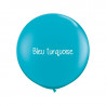 10 ballons organiques à vos couleurs - 60 couleurs au choix 10 ballons organiques à vos couleurs - 60 couleurs au choix