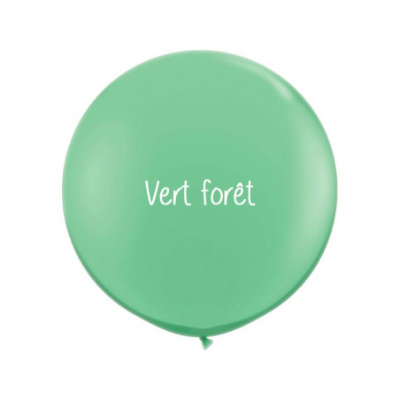 10 ballons organiques à vos couleurs - 60 couleurs au choix 10 ballons organiques à vos couleurs - 60 couleurs au choix