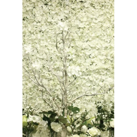 Grand Panneau pour Mur de Fleurs - Rideau Backdrop