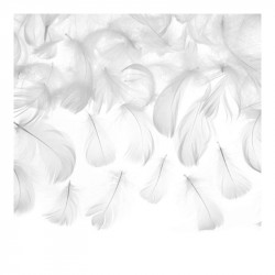 40 Plumes Blanches...