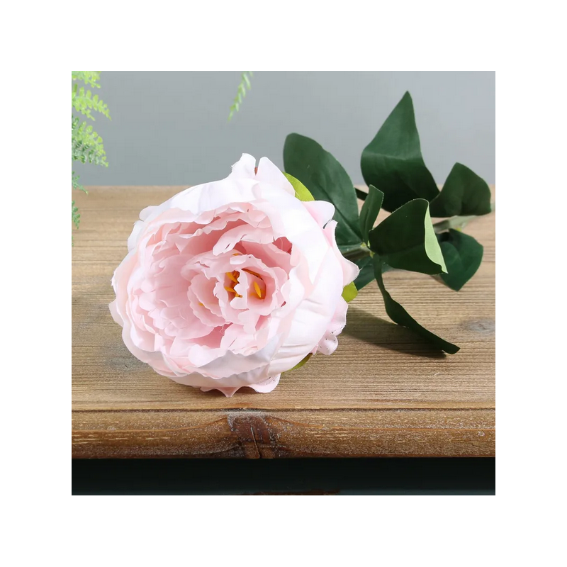 Pivoine tige rose pastel
