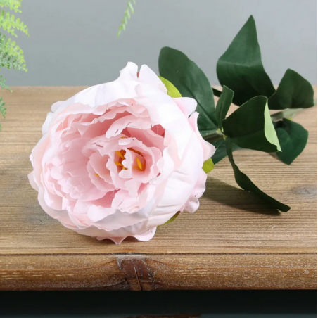 Pivoine tige rose pastel