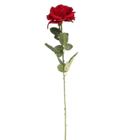 Grande rose couleur rouge très haut de gamme